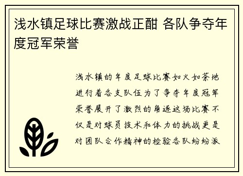 浅水镇足球比赛激战正酣 各队争夺年度冠军荣誉