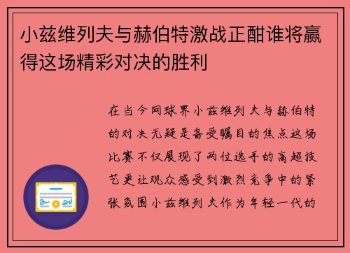 小兹维列夫与赫伯特激战正酣谁将赢得这场精彩对决的胜利