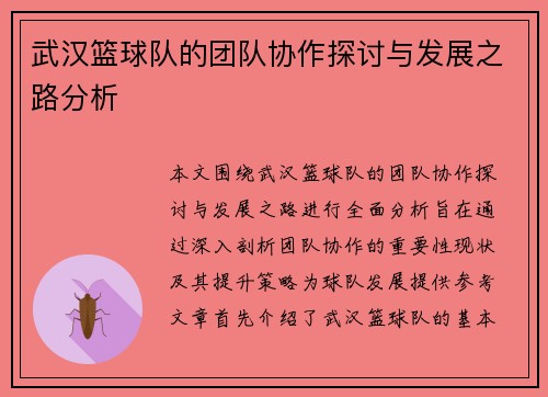 武汉篮球队的团队协作探讨与发展之路分析
